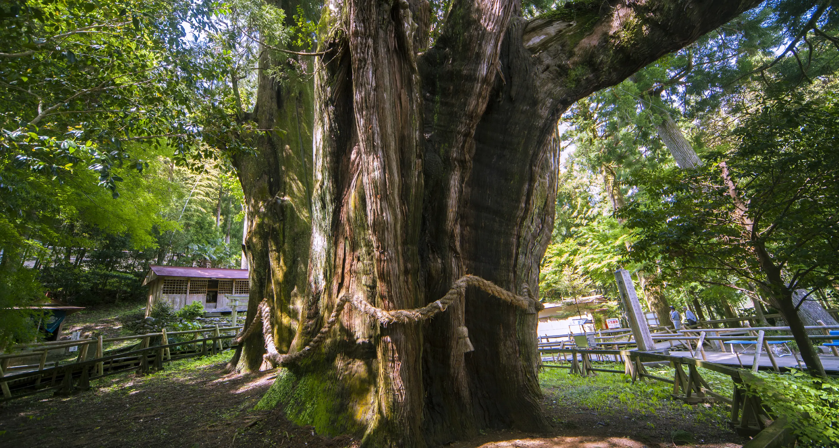 スライダー画像02